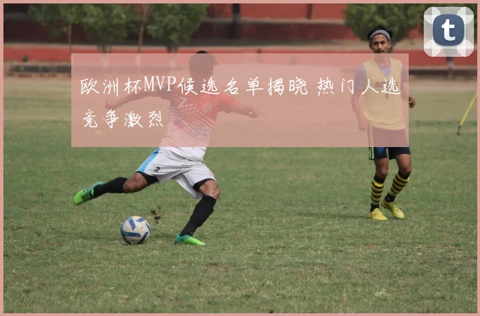 欧洲杯MVP候选名单揭晓 热门人选竞争激烈