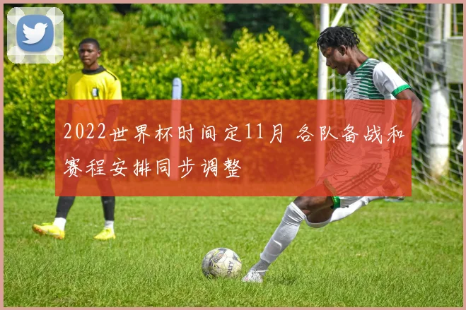 2022世界杯时间定11月 各队备战和赛程安排同步调整