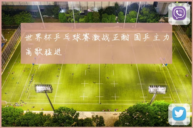 世界杯乒乓球赛激战正酣 国乒主力高歌猛进