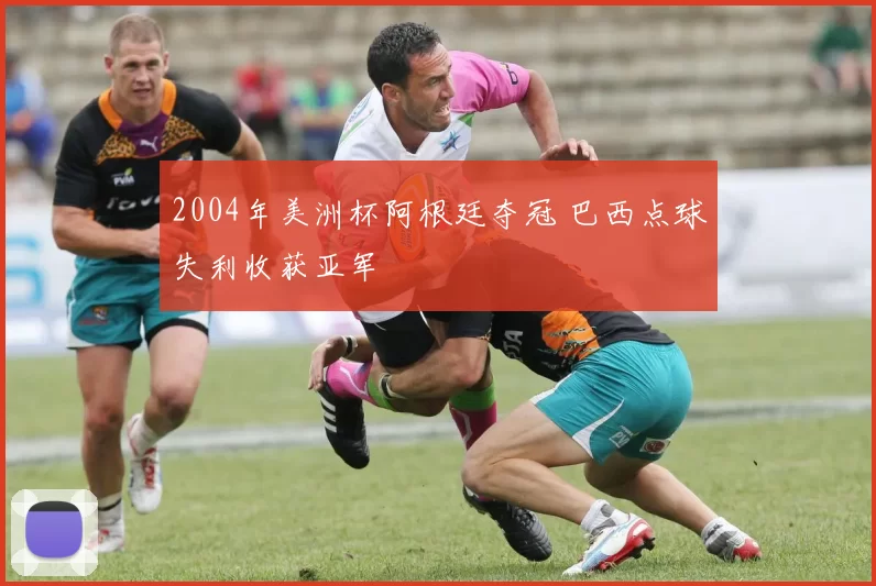 2004年美洲杯阿根廷夺冠 巴西点球失利收获亚军