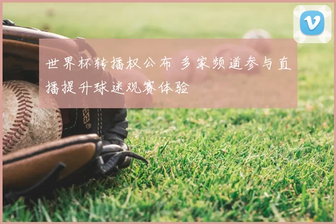 世界杯转播权公布 多家频道参与直播提升球迷观赛体验