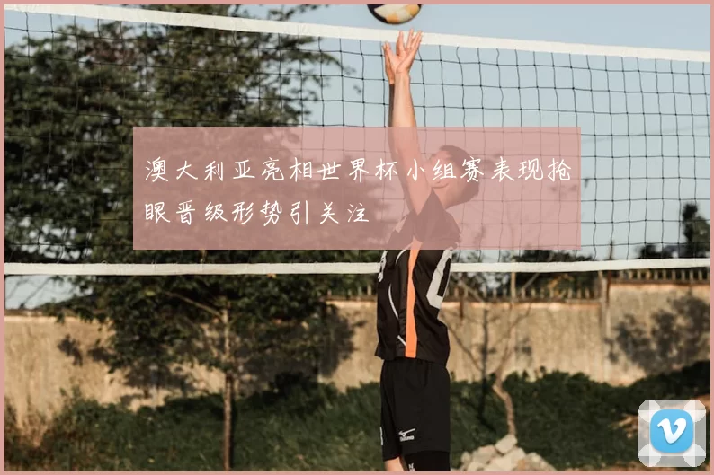 澳大利亚亮相世界杯小组赛表现抢眼晋级形势引关注